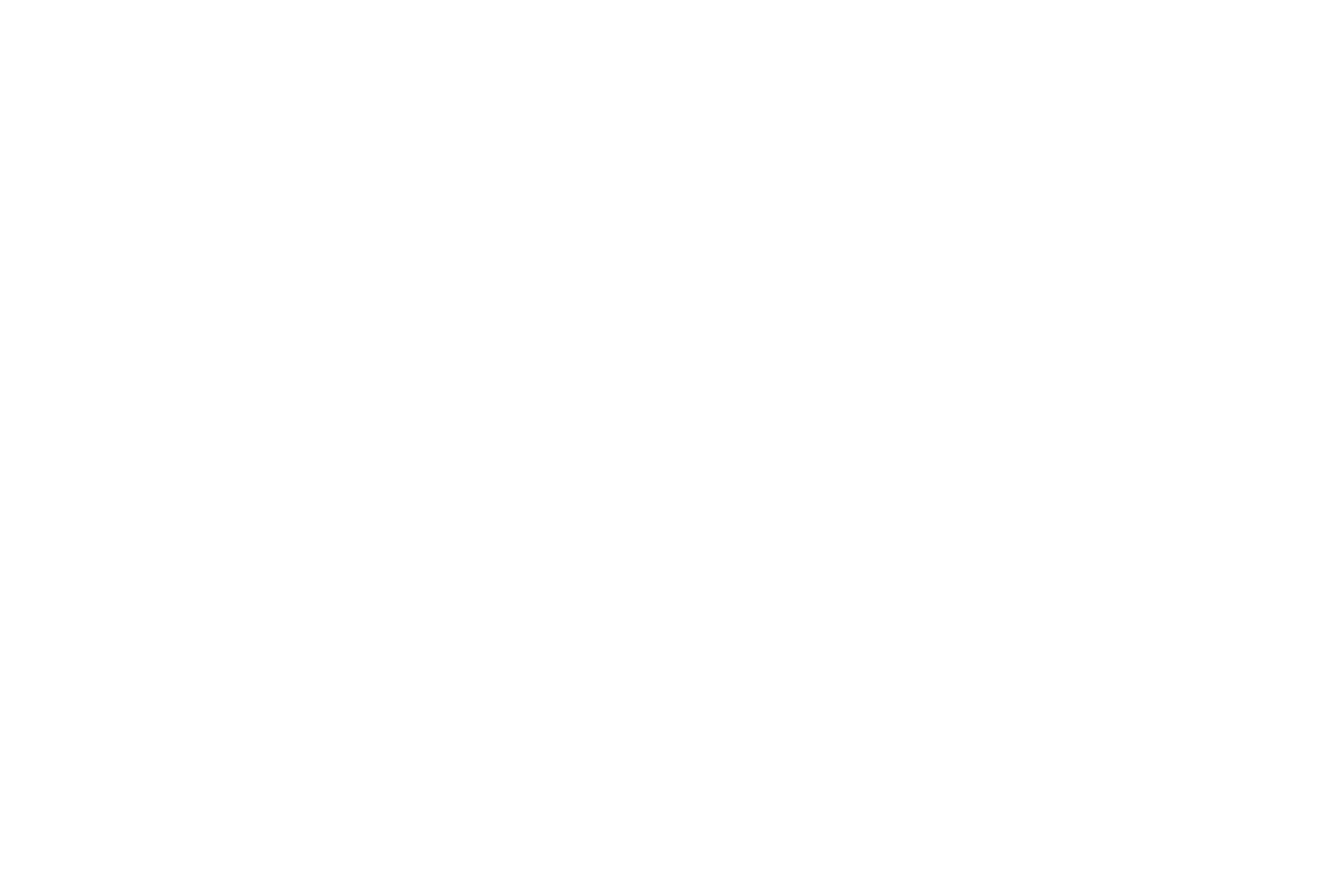 Domingos Castro